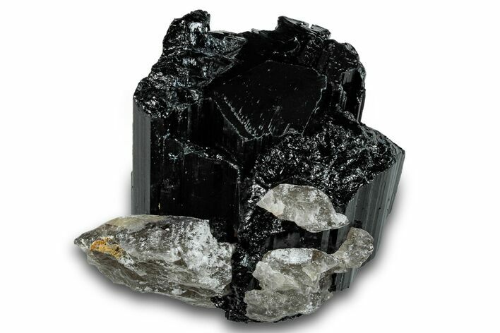 Terminated Black Tourmaline (Schorl) Crystal - Madagascar #261758